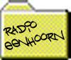 Radio-Eenhoorn